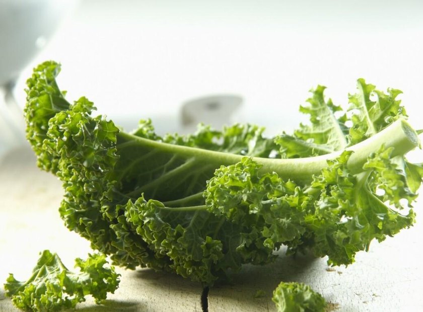 羽衣甘蓝脱水处理视频