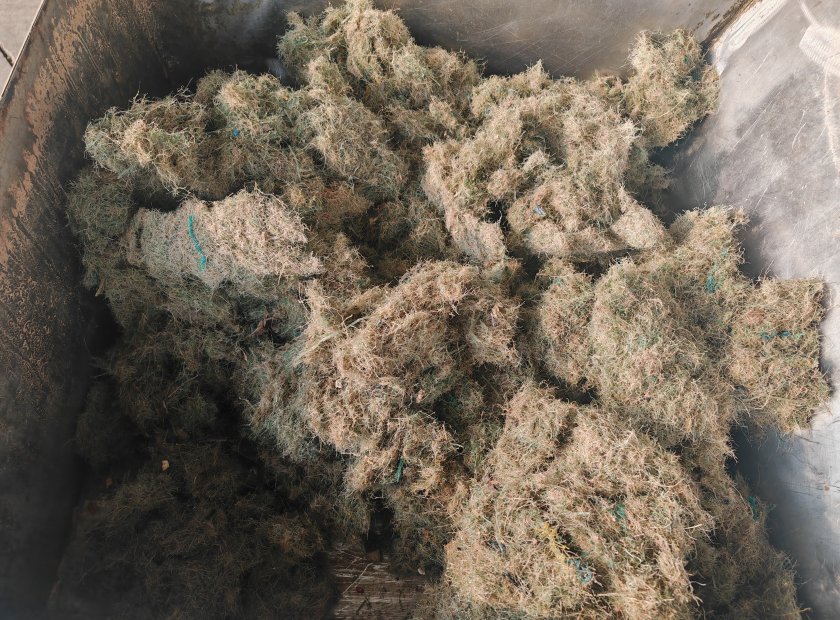 渔网压榨脱水处理视频