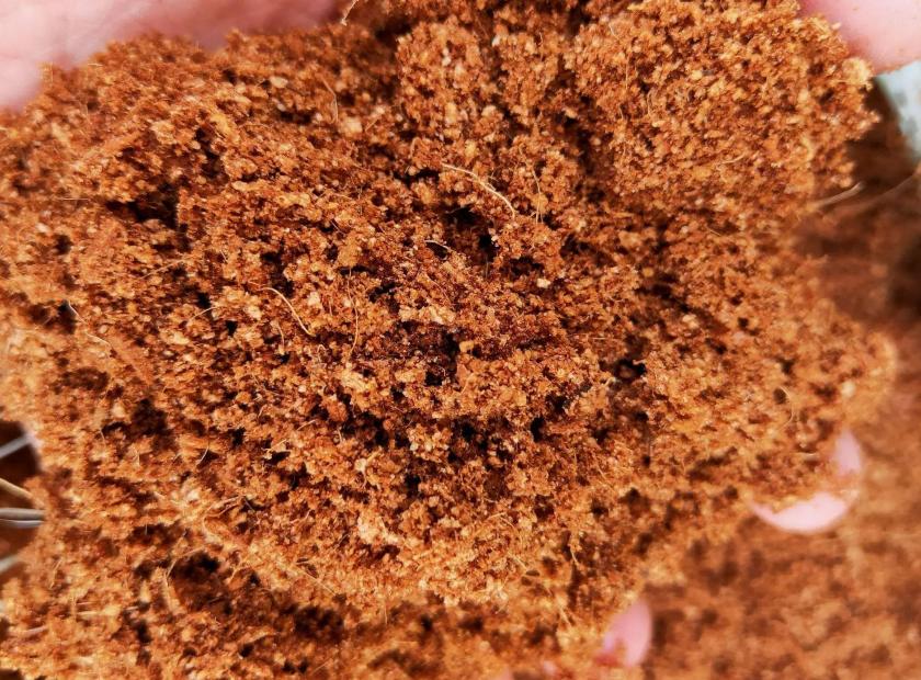 椰糠压榨脱水处理视频