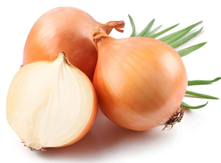 洋葱压榨脱水处理试机视频