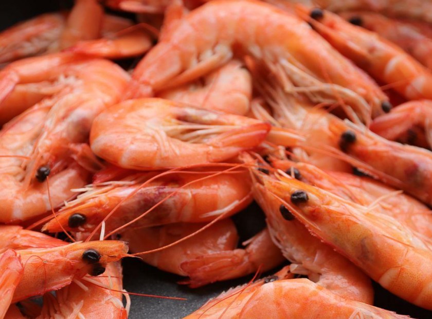 明虾壳螺旋压榨脱水视频