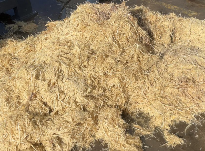 屠宰场鸡毛脱水处理机视频