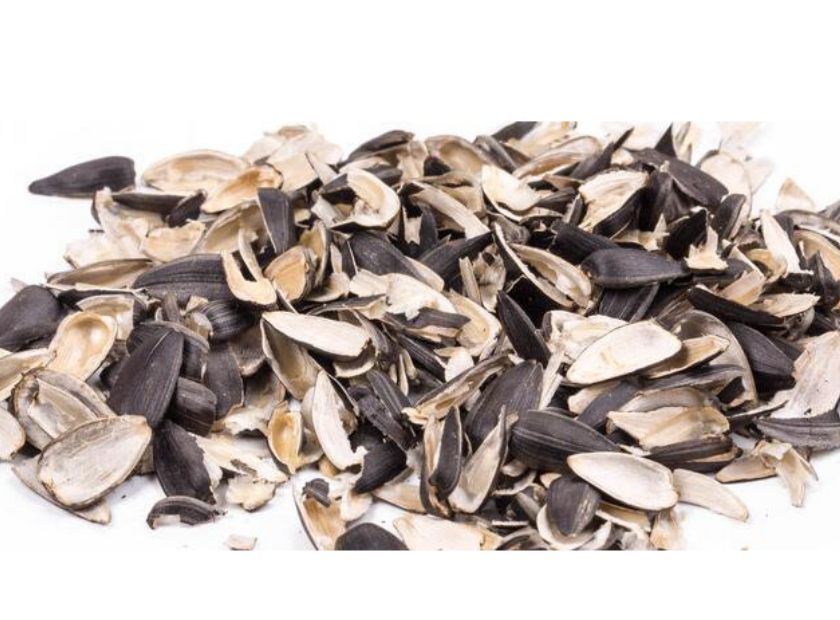 瓜子壳脱水处理视频