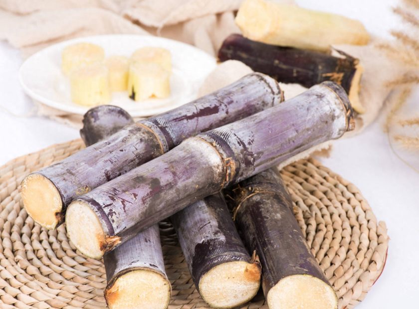 甘蔗脱水处理视频