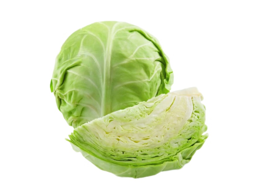 甘蓝脱水处理机器设备视频