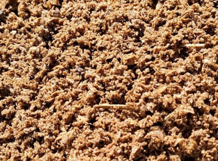 醋糟压榨脱水处理机器视频