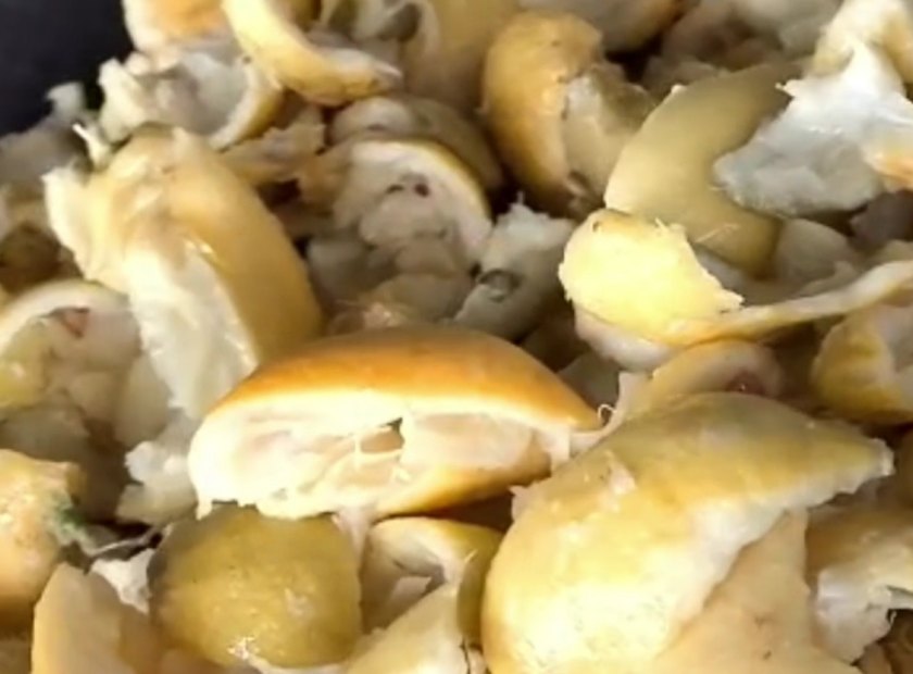 橙子皮压榨脱水处理视频