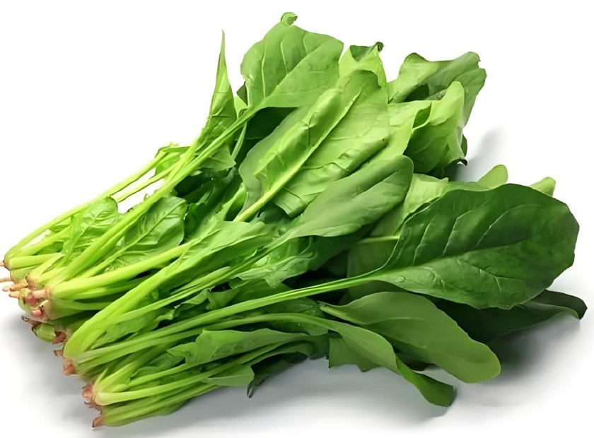 菠菜脱水处理视频