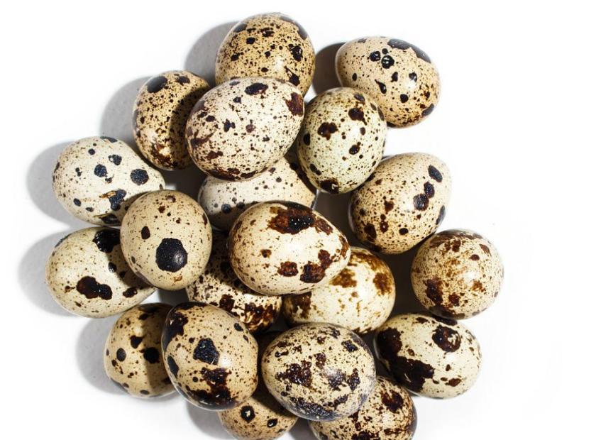 鹌鹑蛋壳压榨脱水处理视频